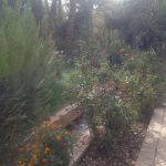 طبس،باغ گلشن طبس