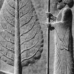 درخت سرو ، نمادی در تمدن باستان ایران