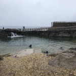 سنت آندر مرکز کانتاربزی