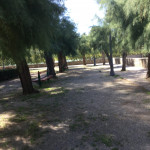 پارکی درشهر پامپولونا