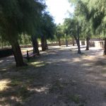 پارکی درشهر پامپولونا