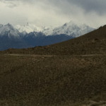 در پامیر به دلیل ارتفاع زیاد از سطح دریا گیاهان بسیار محدود هستند