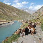 زادگاه افشین سردار خلیفه عباسی شهر استروشن است ، هرچند که او بابک خرمدین را بدست خلیفه داد ، اما خود نیز از بدست بدست خلیفه کشته شد.