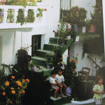 آب و هوای مدیترانهای کرت مناسب برای رشد گونه های متفاون گل و گیاه .